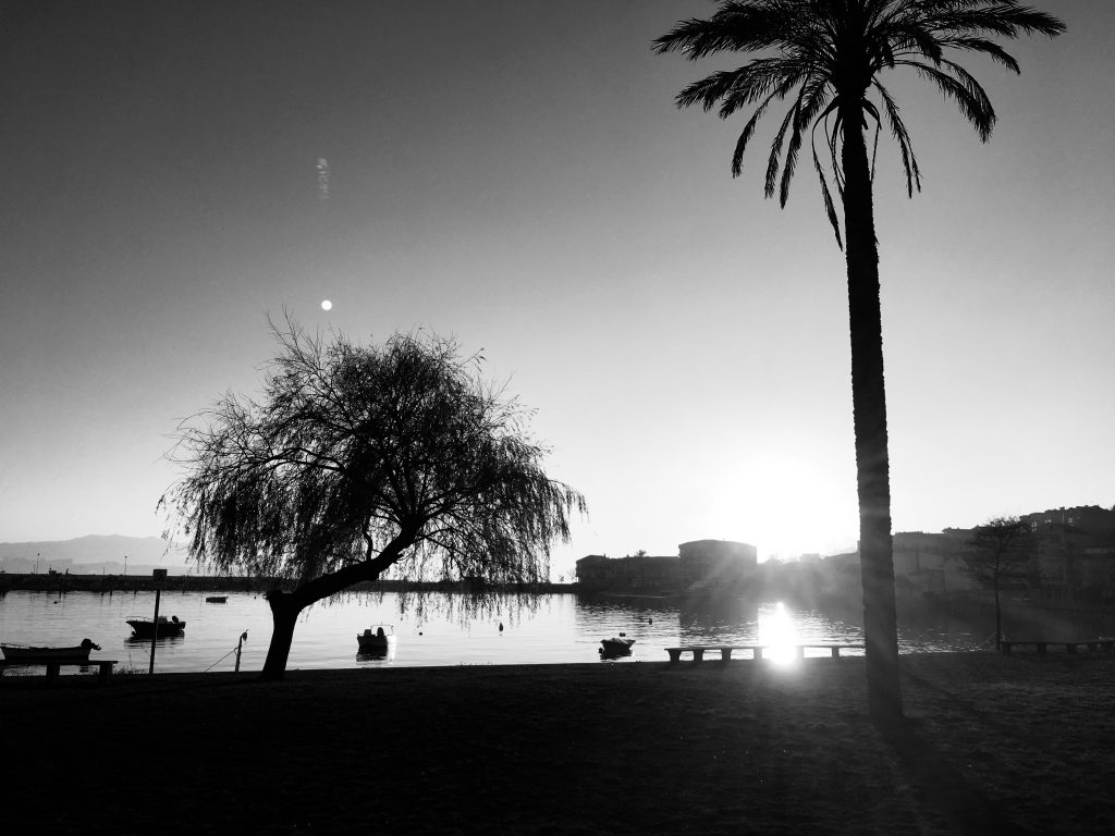 Cae la tarde