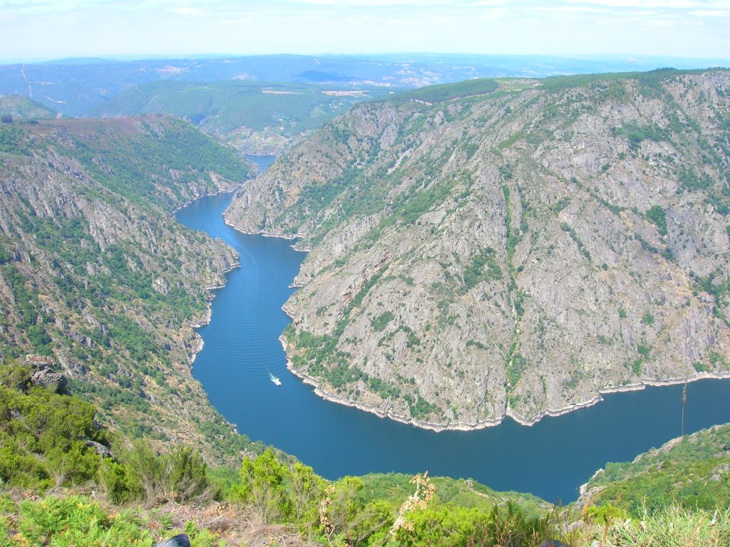 Sobre las críticas a “Oliveira dos cen anos”